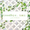 Jess Godwin - Goodbye Amy - Single